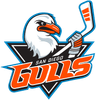 San Diego Gulls