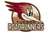 Tucson Roadrunners