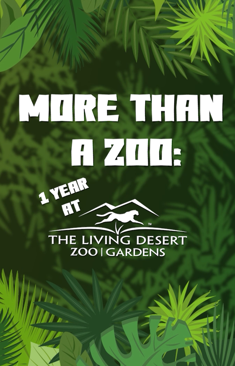 Thumbnail for More than a Zoo