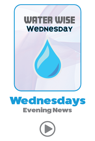 Thumbnail for Water Wise Wednesday